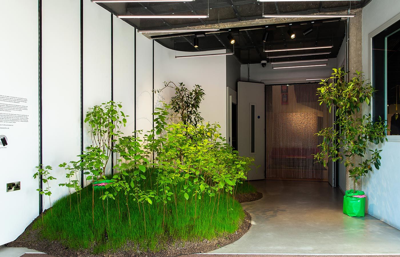 Wayward installation at Browns East