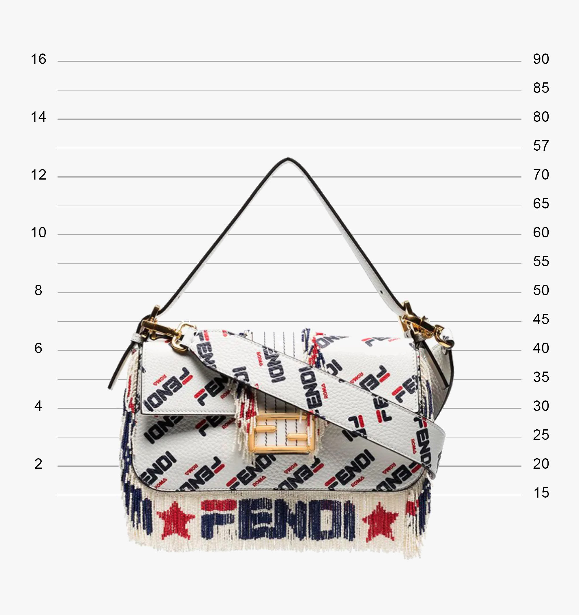 Fendi Mania Baguette