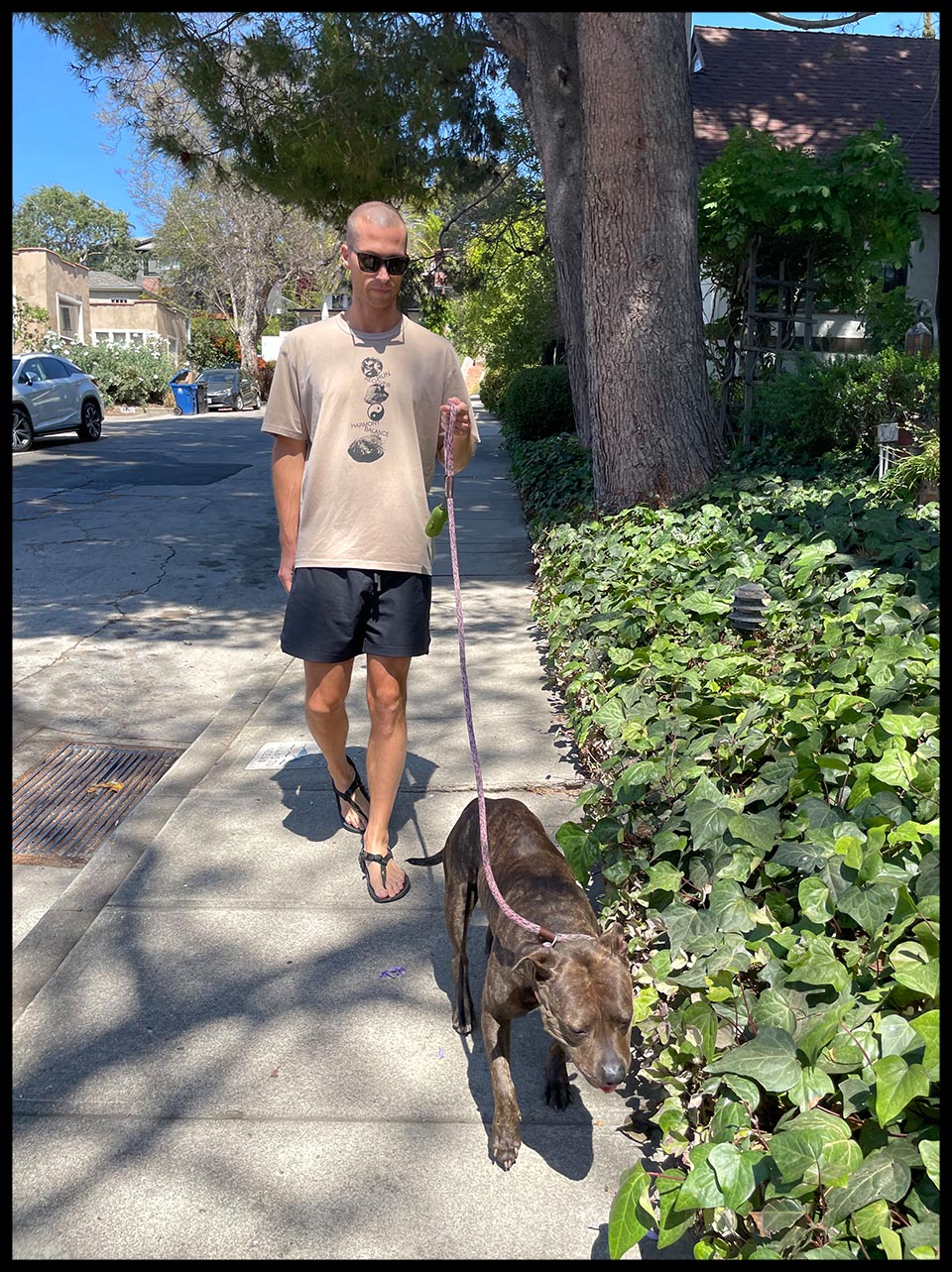 “Walking Cookie. We adopted this 2-year old pit-bull in February and fell in love pretty fast, even though she’s a bit crazy!”