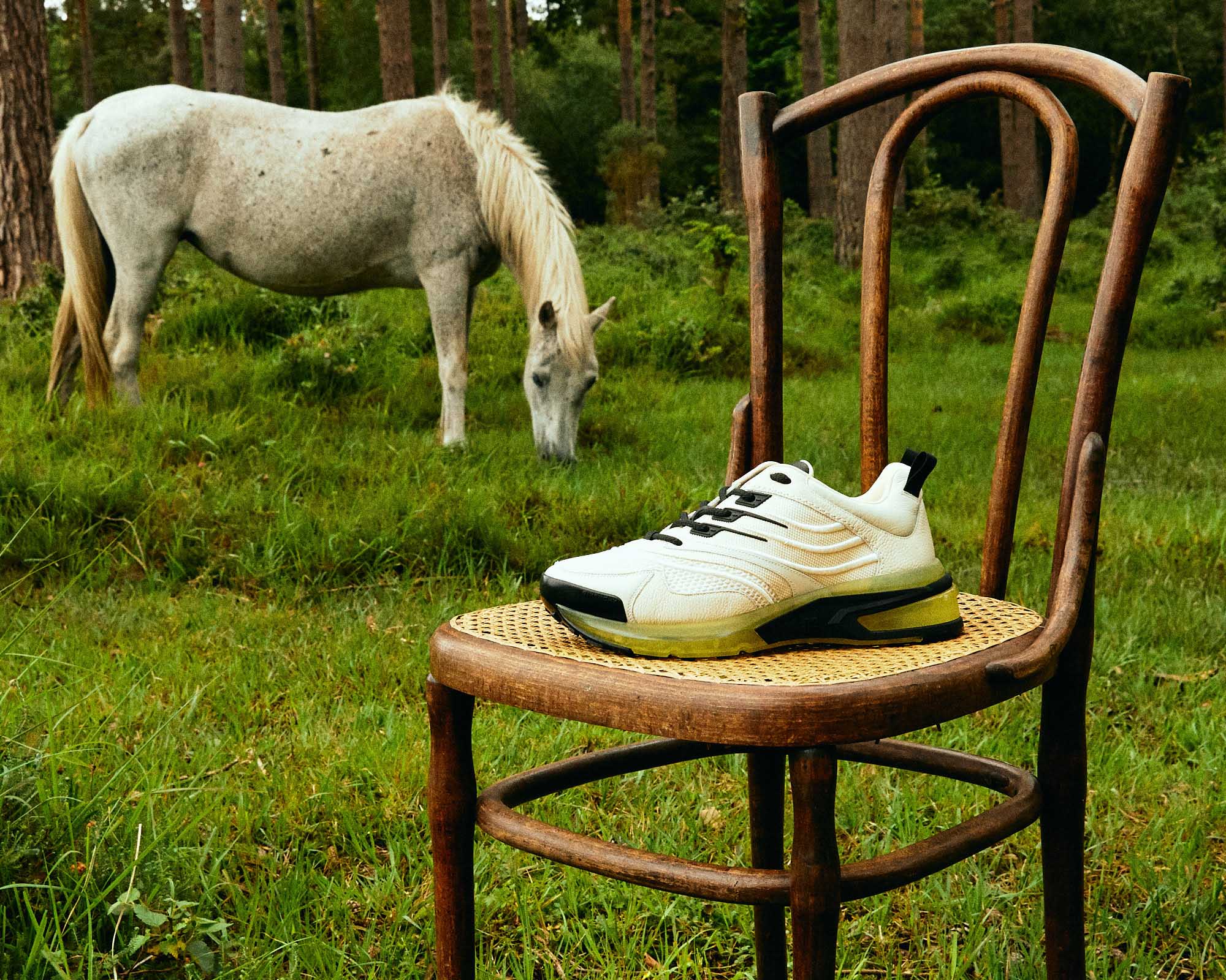 Sneakers by Givenchy