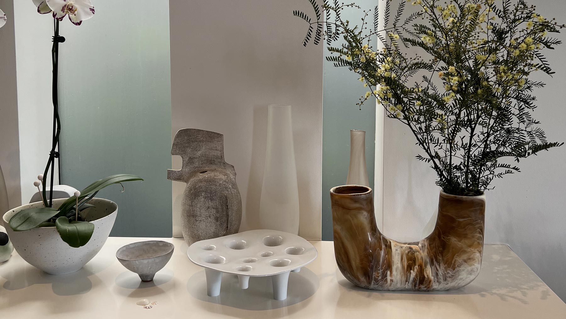 24 Hours With… Dinosaur Designs