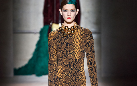 Dries Van Noten