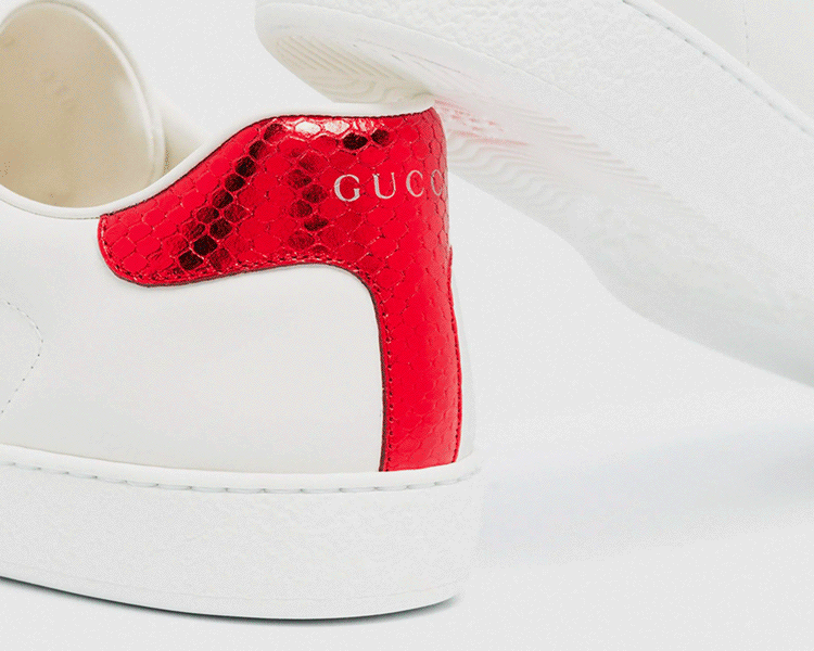 Ace Guuci Trainers
