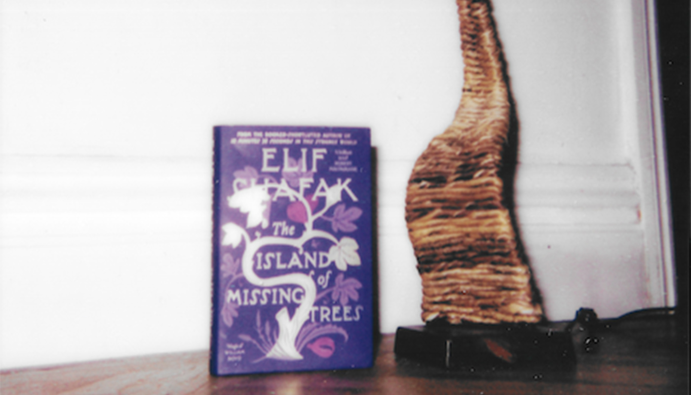 Bibi’s Beach Reads 4. The Island Of Missing Trees by Elif Shafak